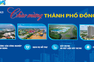 Sonadezi (SNZ) không đáp ứng điều kiện công ty đại chúng