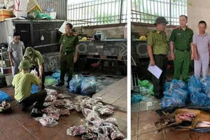Quảng Ninh: Phát hiện 89 cá thể động vật hoang dã trong tủ cấp đông Quảng Ninh: Phát hiện 89 cá thể động vật hoang dã trong tủ cấp đông