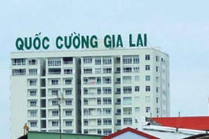 Quốc Cường Gia Lai (QCG) đưa bà Nguyễn Thị Như Loan trở lại vị trí Tổng giám đốc sau khi chấp hành xong án phạt