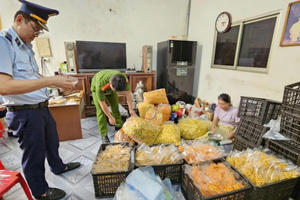 Khởi tố chủ hộ kinh doanh sản xuất, buôn bán thực phẩm giả Khởi tố chủ hộ kinh doanh sản xuất, buôn bán thực phẩm giả