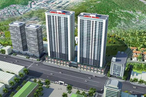 Phó Chủ tịch Lideco (NTL) chi đậm gom cổ phiếu, lợi nhuận bán niên tăng vọt 170%