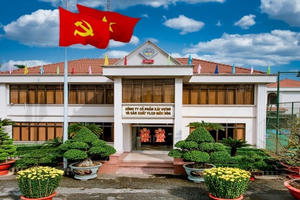 Vật liệu Xây dựng Biên Hòa (VLB) lập đỉnh lợi nhuận quý 3, lượng tiền nhàn rỗi vượt 800 tỷ đồng