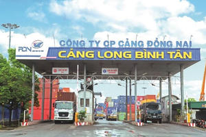 Cảng Đồng Nai (PDN) báo lãi ròng tăng 10% trong quý 3, lượng tiền mặt vượt mốc nghìn tỷ