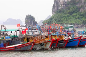 Quảng Ninh siết chặt kiểm soát tàu cá, truy xuất nguồn gốc, quyết tâm cùng cả nước gỡ “thẻ vàng” EC Quảng Ninh siết chặt kiểm soát tàu cá, truy xuất nguồn gốc, quyết tâm cùng cả nước gỡ “thẻ vàng” EC