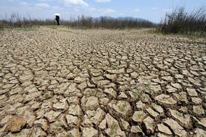 Ngân hàng Thế giới (World Bank) và IMF cảnh báo rủi ro lạm phát và thiệt hại tỷ USD từ siêu El Niño