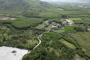 Phú Thọ chuyển đổi hơn 56 ha rừng làm khu nhà ở và đường giao thông