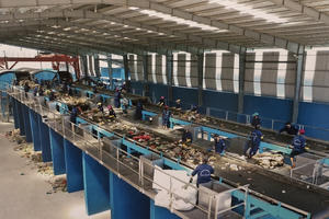 Hải Phòng cho ECOGREEN thuê hơn 12,17 ha đất xây nhà máy xử lý chất thải 