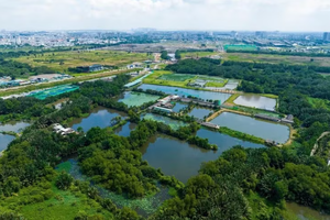 TP HCM xem xét thí điểm 147 khu đất làm nhà ở thương mại, quy mô hơn 854ha