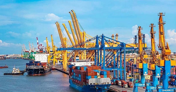 Xuất nhập khẩu 8 tháng lập kỷ lục, Việt Nam nhập siêu 20,46 tỷ USD