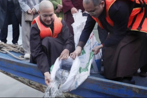 Thả cá phóng sinh tái tạo nguồn lợi sông Đà