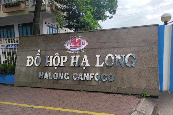 Bắt khẩn cấp Tổng Giám đốc Công ty cổ phần đồ hộp Hạ Long
