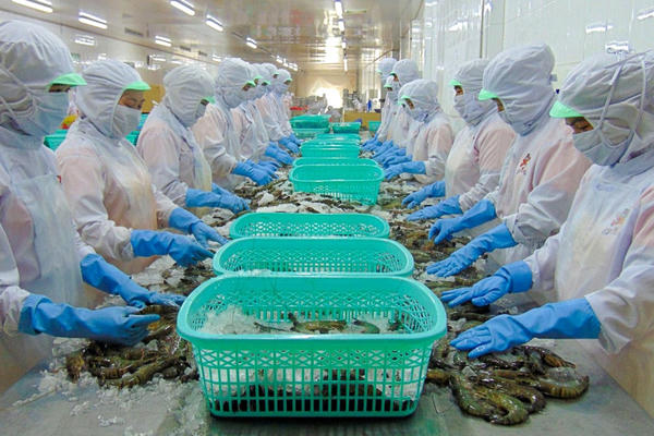 Thực phẩm Sao Ta (FMC): Bổ nhiệm tân Tổng giám đốc, doanh thu tháng 1/2026 'đi lùi' Thực phẩm Sao Ta (FMC): Bổ nhiệm tân Tổng giám đốc, doanh thu tháng 1/2026 'đi lùi'