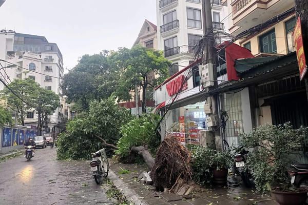 Tên bão TOMO được thay cho bão YAGI