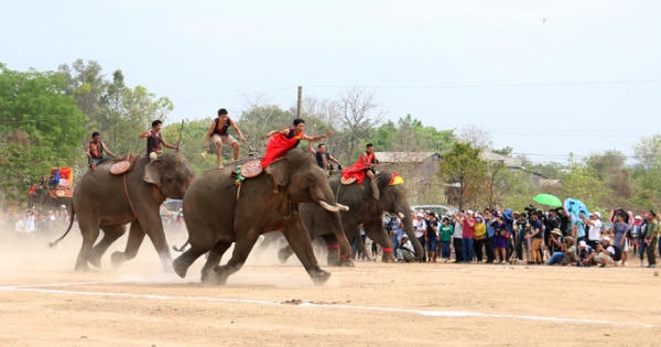 Kỳ thú đua voi ở Buôn Đôn