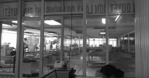 Hà Nội: Hai doanh nghiệp cố tình trốn tránh trách nhiệm, thờ ơ với quyền lợi của người lao đông?