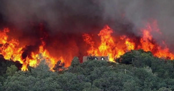 Quảng Ninh: Dập tắt cháy rừng tại thị xã Đông Triều