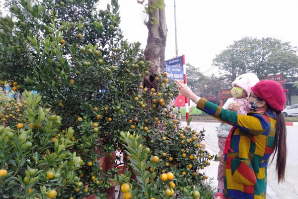 "Mọi người, mọi nhà đều có Tết", không ai bị bỏ lại phía sau "Mọi người, mọi nhà đều có Tết", không ai bị bỏ lại phía sau