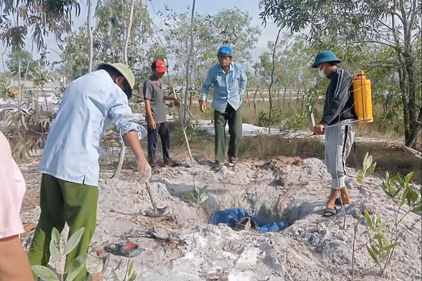 Dịch tả lợn Châu Phi bùng phát trên 22 xã, phường ở Quảng Trị