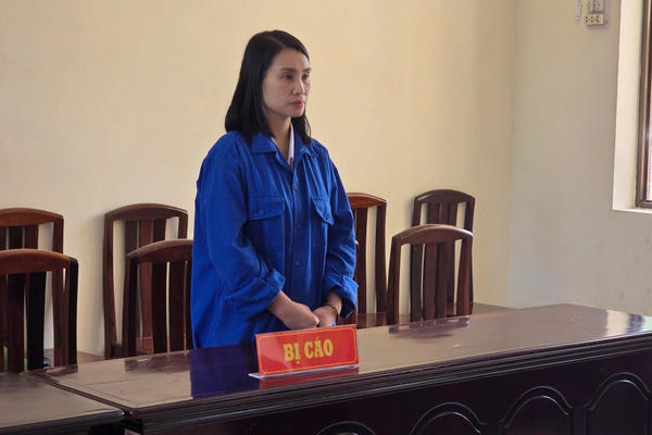 Kiên Giang: Tổng hợp hình phạt 30 năm tù cho "siêu lừa" từng đẻ liên tục 5 người con để hoãn thi hành án