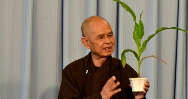 Tìm hiểu Luân hồi và Nhân quả trong đạo Bụt