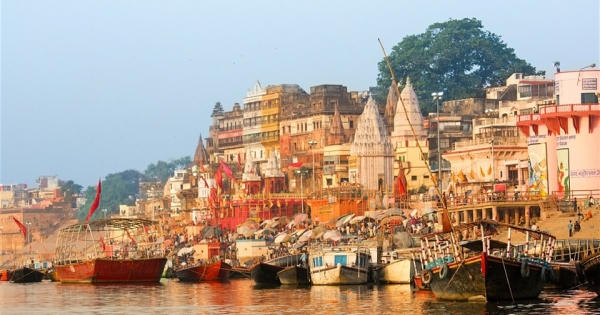 Lạ lùng thành phố người dân không ăn thịt