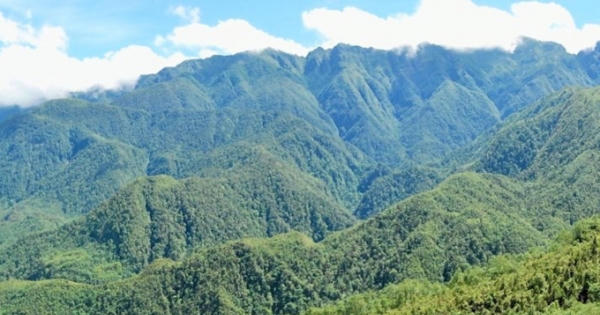 Quốc hội thảo luận về thí điểm một số cơ chế, chính sách đặc thù phát triển tỉnh/thành phố