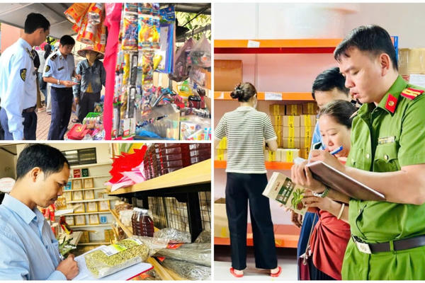 Gia Lai mở đợt cao điểm đấu tranh chống buôn lậu dịp Tết Nguyên đán Bính Ngọ 2026