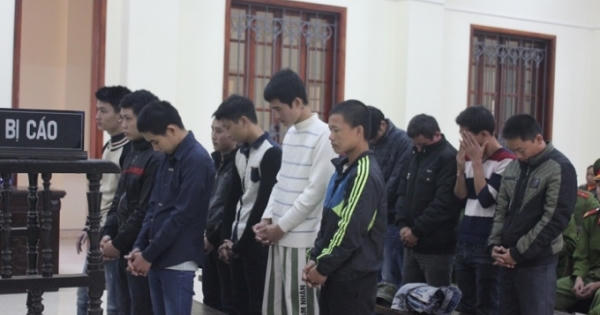 13 năm tù cho kẻ cầm đầu băng nhóm trộm 32 con trâu bò