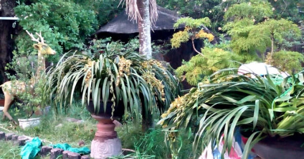 Phi vụ 'có 1 không 2': Áp tải 500 triệu địa lan cho đại gia Sài thành