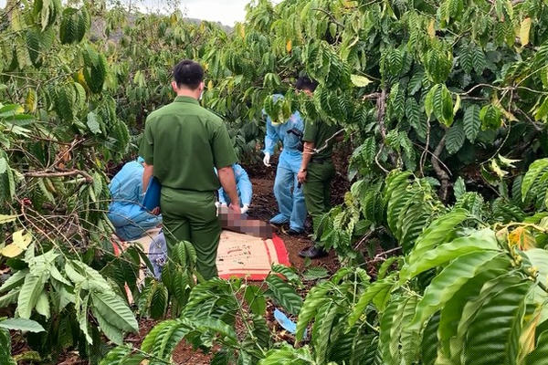 Vụ giết người tình vì bị dọa tung clip nóng: Phó giám đốc công an khen cấp dưới bằng... thơ!