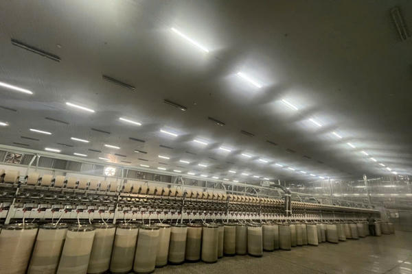 Bông rơi chải thô có phải là phế liệu hoặc nguy hại tới môi trường? Bông rơi chải thô có phải là phế liệu hoặc nguy hại tới môi trường?