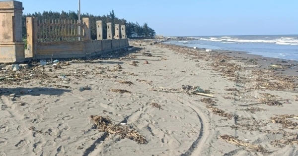 Bàng hoàng phát hiện thi thể người đàn ông mất đầu trôi dạt vào bờ biển ở Thái Bình