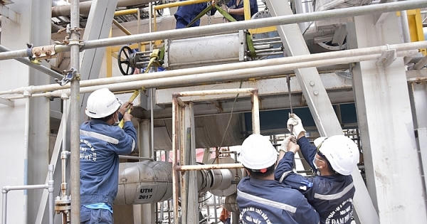 EVN đề nghị dừng nhà máy đạm Cà Mau và Phú Mỹ để nhường khí cho sản xuất điện