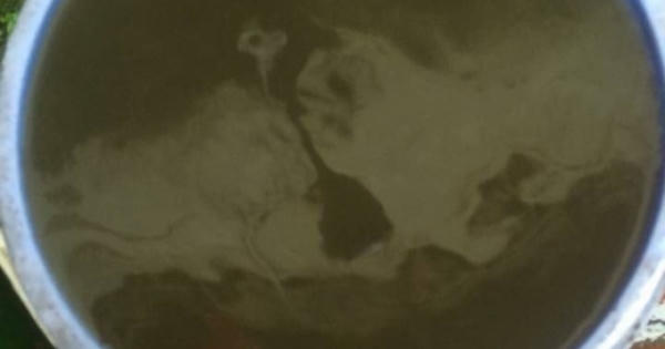 Dân Thủ đô hãi hùng khi dùng nước "sạch" đen ngòm lẫn bùn đất