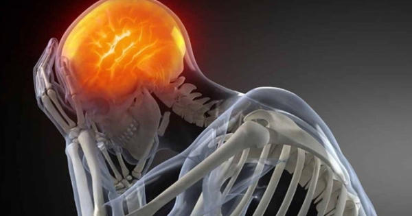 5 nguyên liệu nấu ăn chứa hóa chất có thể 'đầu độc' não người