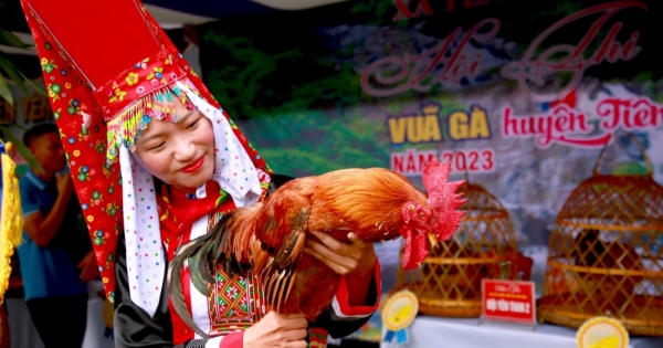 Những hình ảnh ấn tượng tại Hội thi Vua gà Tiên Yên 2023