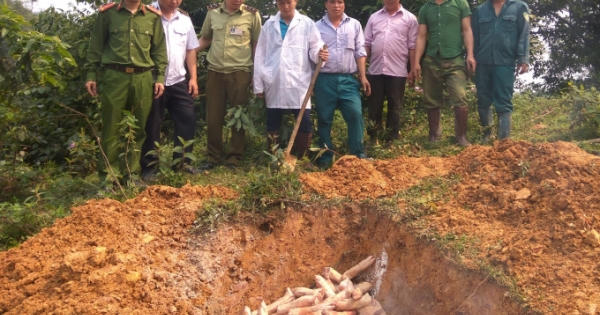Cao Bằng: Tiêu hủy gần 1,5 tấn thực phẩm không rõ nguồn gốc