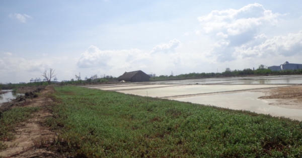 Vụ đất nông nghiệp bị “hô biến” thành đất rừng phòng hộ ở Bà Rịa - Vũng Tàu: Rừng giao khoán sau 1 năm gần như biến mất? Vụ đất nông nghiệp bị “hô biến” thành đất rừng phòng hộ ở Bà Rịa - Vũng Tàu: Rừng giao khoán sau 1 năm gần như biến mất?