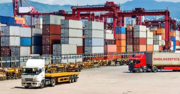 Hoạt động thống kê hải quan: Bức tranh sinh động về kinh tế của đất nước