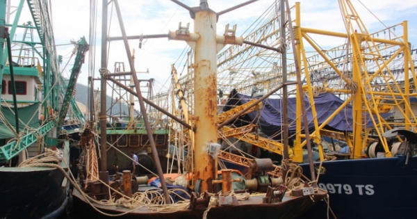 Xử lý nghiêm sai phạm của các tổ chức, cá nhân trong việc đóng mới, cải tạo tàu cá Xử lý nghiêm sai phạm của các tổ chức, cá nhân trong việc đóng mới, cải tạo tàu cá