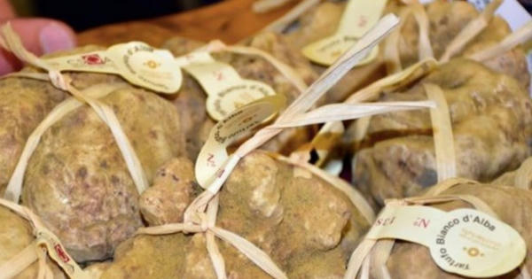 Những món ăn đắt đỏ chỉ dành cho giới siêu giàu