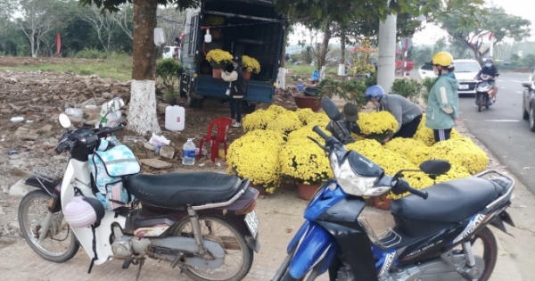 Xứ ngàn hoa Lâm Đồng “cháy hoa” chiều 30 Tết Xứ ngàn hoa Lâm Đồng “cháy hoa” chiều 30 Tết