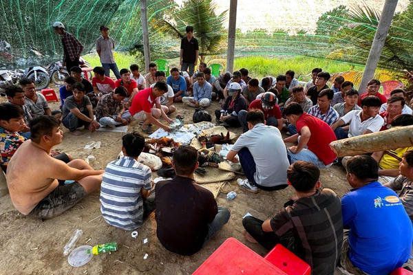 Bắt tụ điểm đá gà có hàng chục đối tượng tham gia, bố trí người cảnh giới Bắt tụ điểm đá gà có hàng chục đối tượng tham gia, bố trí người cảnh giới