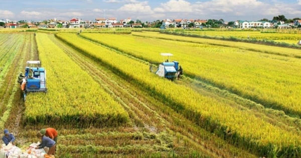 Đến năm 2030, phát triển vùng Đồng bằng Sông Cửu Long trở thành trung tâm kinh tế nông nghiệp bền vững Đến năm 2030, phát triển vùng Đồng bằng Sông Cửu Long trở thành trung tâm kinh tế nông nghiệp bền vững