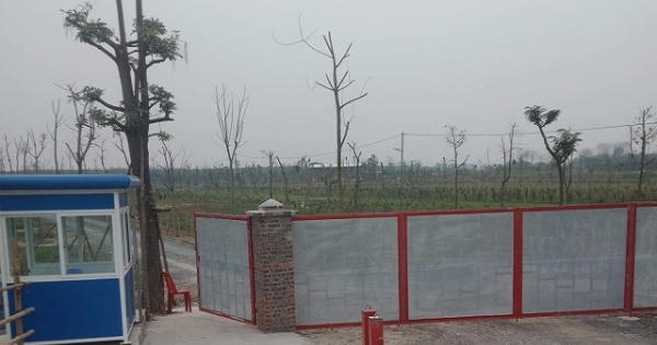 Công chức địa chính sẽ bị cách chức nếu để phát sinh vi phạm đất nông nghiệp mới mà không được ngăn chặn