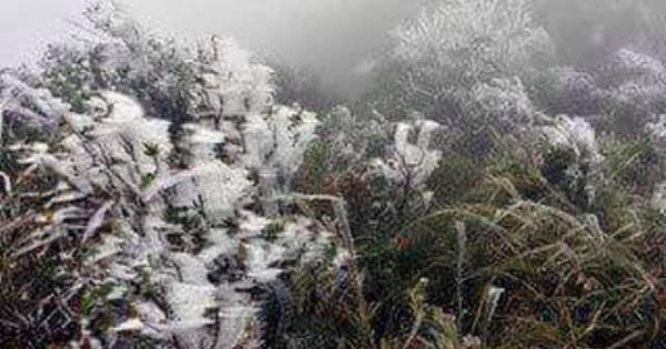 Thanh Hoá: Rét kỷ lục, ngắm băng tuyết trắng đỉnh Son Bá Mười Thanh Hoá: Rét kỷ lục, ngắm băng tuyết trắng đỉnh Son Bá Mười