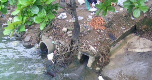 Mỗi ngày môi trường đang hứng chịu 7 triệu m3 nước thải sinh hoạt