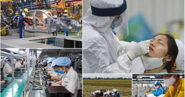 “Cứu doanh nghiệp như cứu người bệnh”