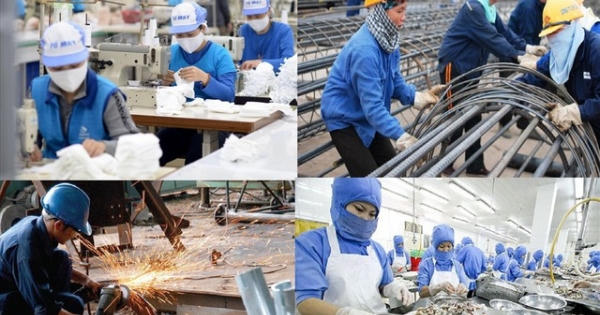 Chính sách với người lao động dôi dư khi sắp xếp lại công ty TNHH do Nhà nước nắm 100% vốn điều lệ Chính sách với người lao động dôi dư khi sắp xếp lại công ty TNHH do Nhà nước nắm 100% vốn điều lệ