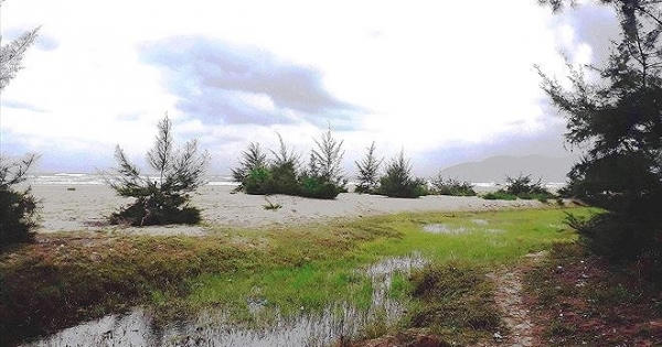 TT-Huế: Làm rõ trách nhiệm vụ hàng chục lô đất 'vàng' ven biển cấp trái phép cho cán bộ